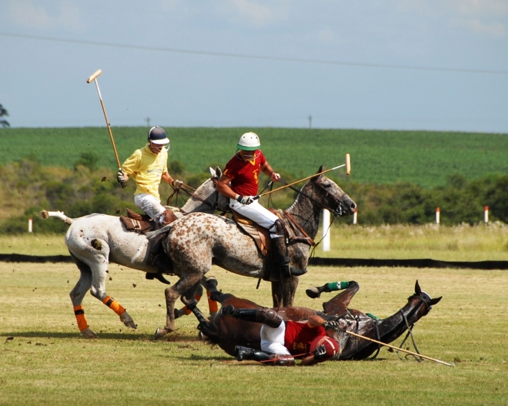 Date this beautiful United States man Hello8811 from Miami Beach US3428