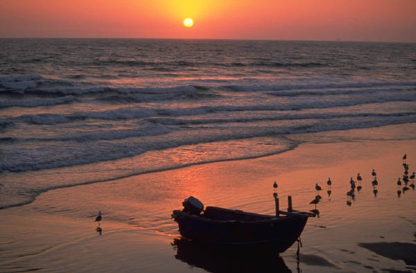 Date this pretty Dominican Republic man Babyboom from Santo Domingo DO2723