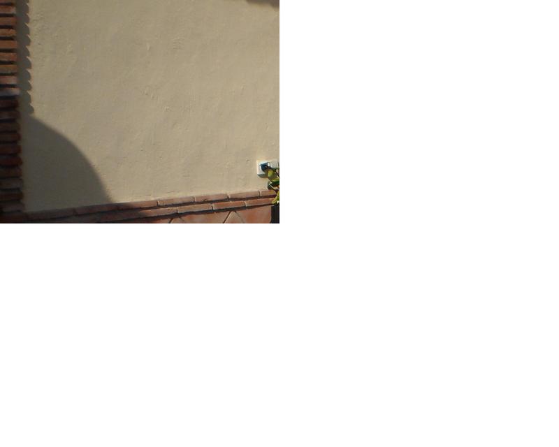 Date this young Spain man Terminalvelocit from Marbella ES129