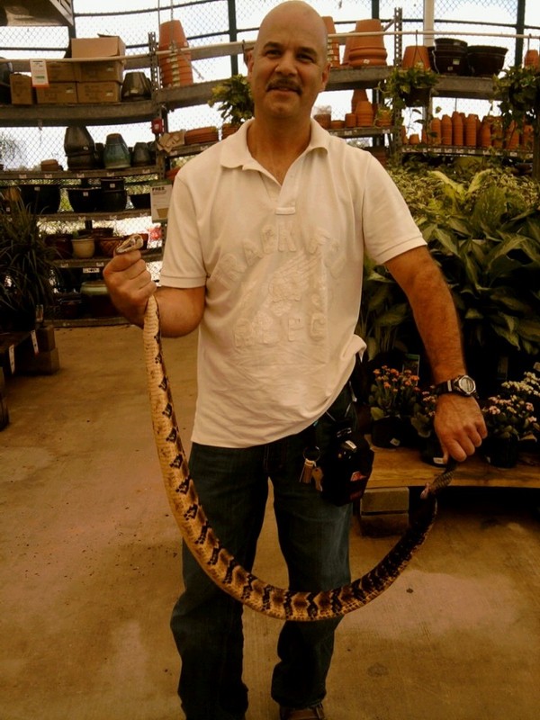 Date this sensual United States man The from Slidell US7047