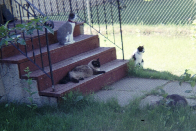 Date this stunning Canada man David from Edmonton CA328