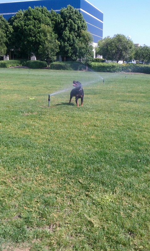 Date this cute United States man Most from Los Angeles US12798