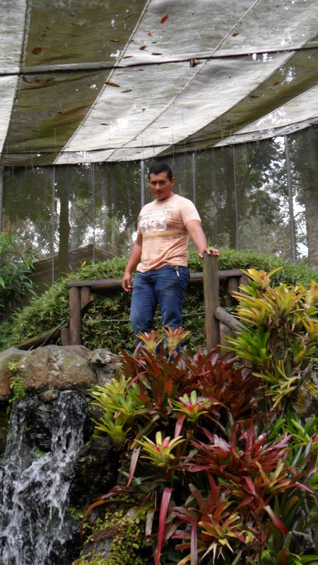 Date this exotic Colombia man Julio sanchez from Cali CO14383